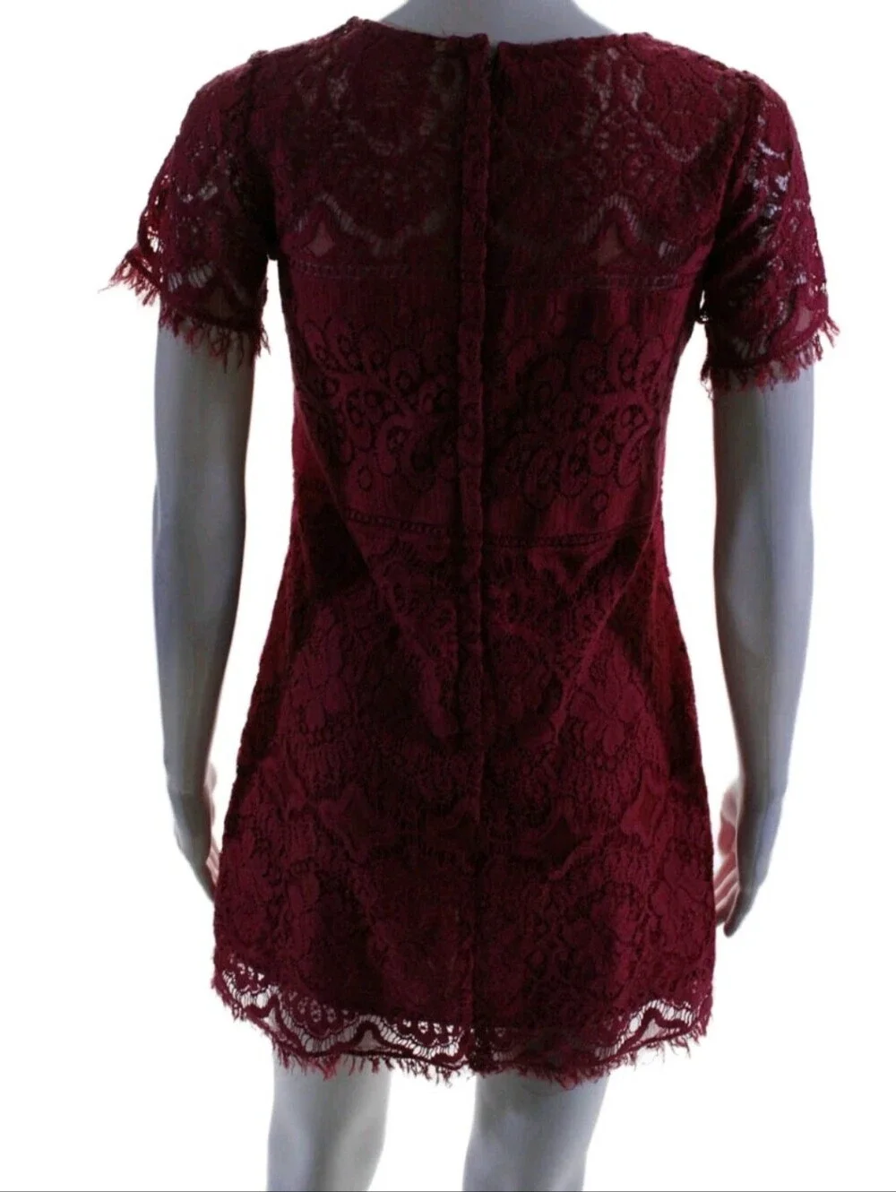 Free People Size 0 Eyelash Lace A-line Short Sleeve Mini Dress